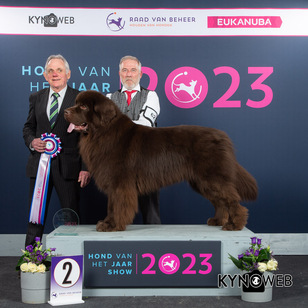 Schiedam_Heer Caruso Jebbe uit de Polderklei