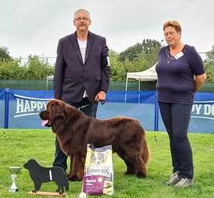 KCM 2021 Beste Jeugdhond