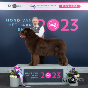 Schiedam_Ursus Arctos van de Waterschans