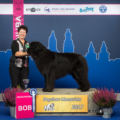 BEST_OF_BREED_50_DOGSHOW_MAASTRICHT_2017_Kynoweb_Kynoweb_Ernst_von_Scheven_20171001_14_33_59